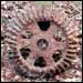 Approximately 14-inch gear.