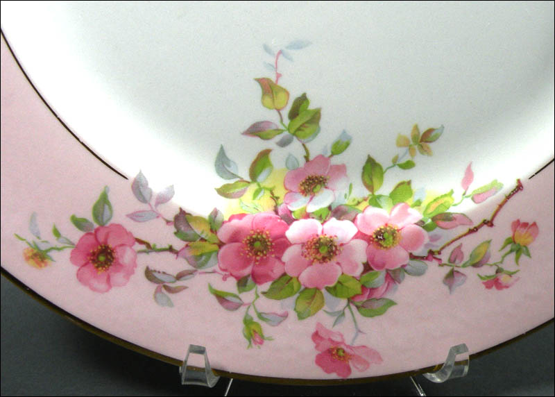 Rho Dendra Floral