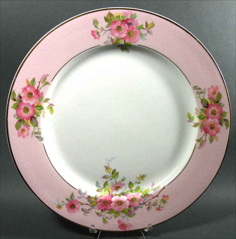 Rho Dendra Floral