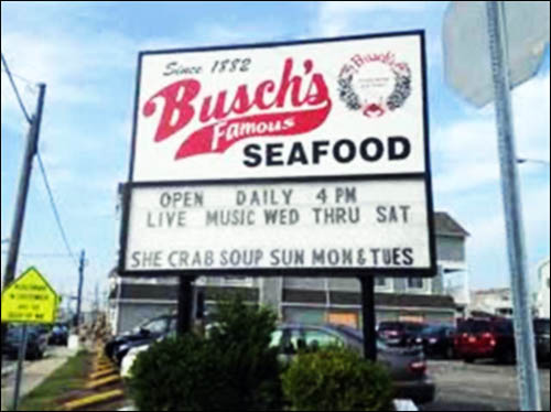 Busch