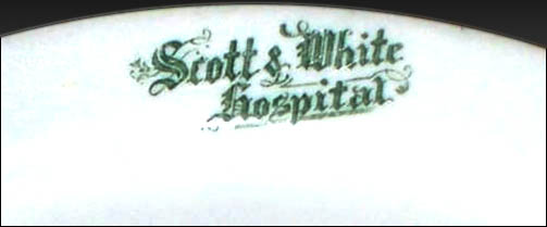 Scott & White Hospital